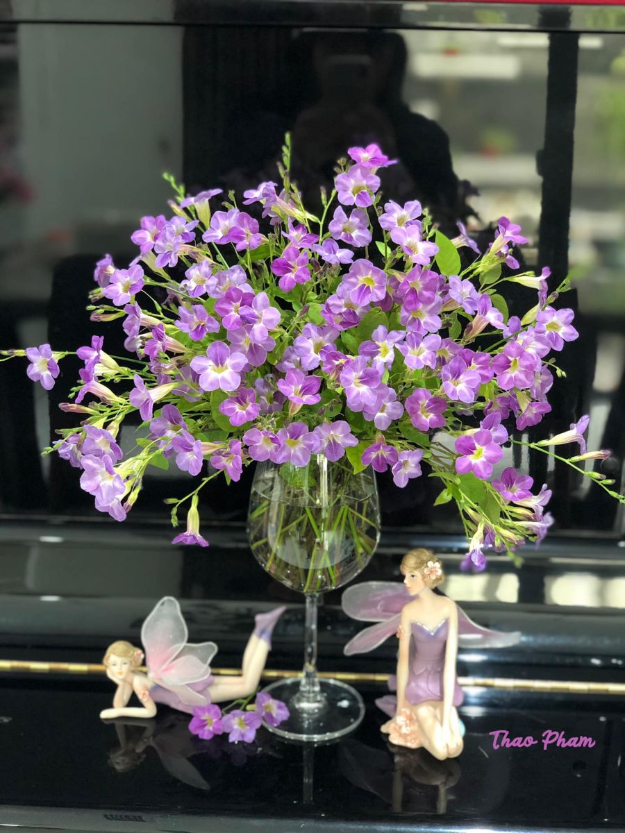 Tử vi ngày 20/7/2022 của 12 cung hoàng đạo